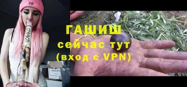 крисы Баксан