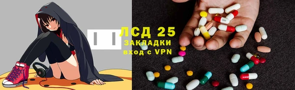 крисы Баксан