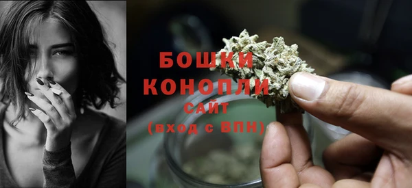 крисы Баксан