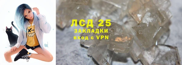 крисы Баксан