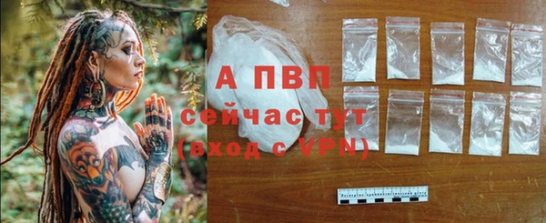 крисы Баксан