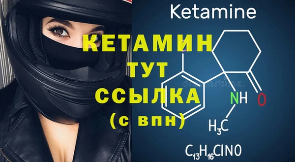 крисы Баксан